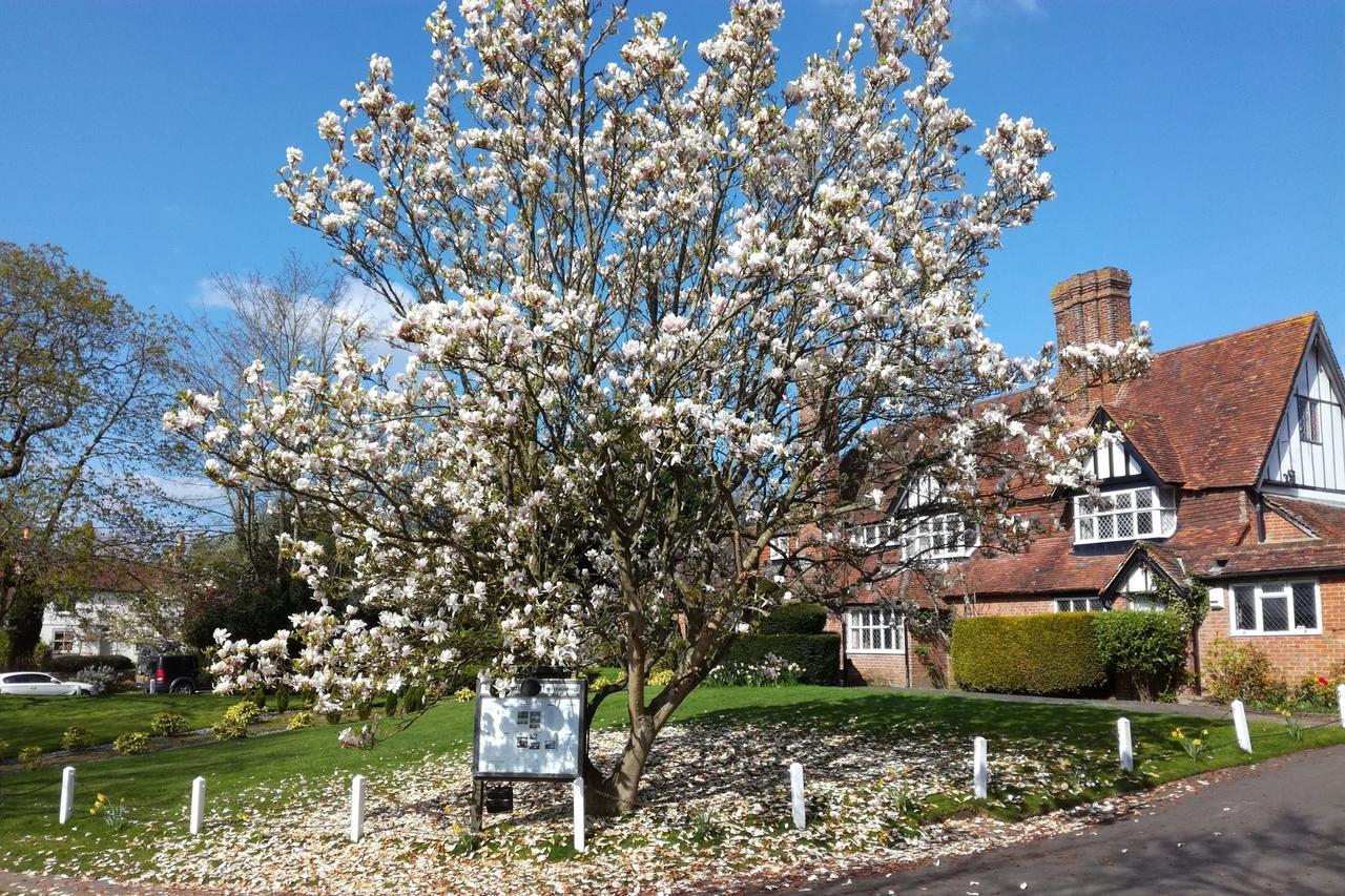 The Brickwall Hotel Sedlescombe Luaran gambar
